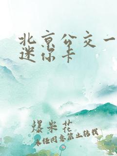 北京公交一卡通迷你卡