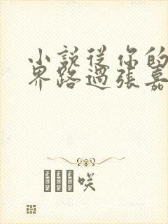 小说从你的全世界路过张嘉佳