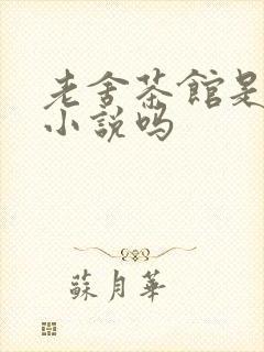 老舍茶馆是长篇小说吗