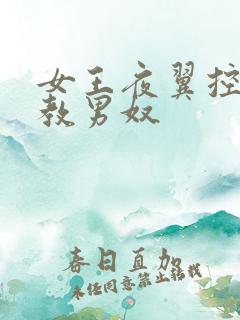 女王夜翼控精调教男奴