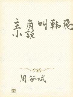 主角叫韩飞宇的小说