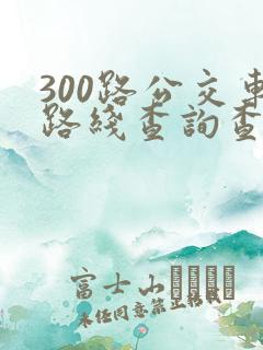 300路公交车路线查询查
