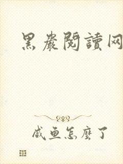 黑岩阅读网