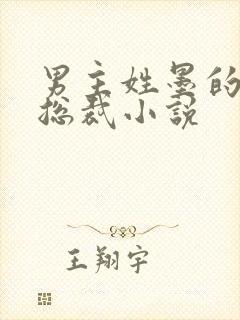 男主姓墨的霸道总裁小说