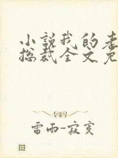 小说我的老婆是总裁全文免费阅读 小说我的老婆是总裁全文免费阅读
