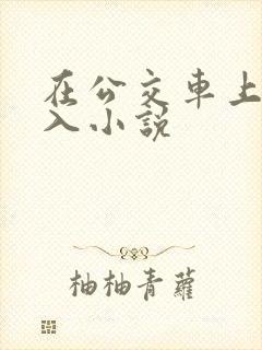 在公交车上被插入小说