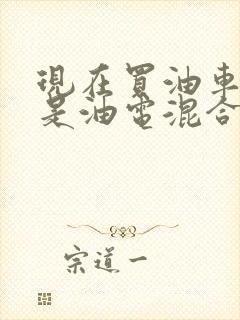 现在买油车好还是油电混合好