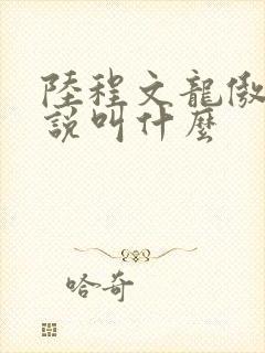 陆程文龙傲天小说叫什么