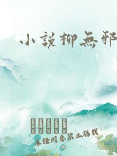 小说柳无邪主角