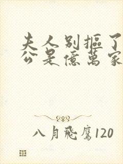 夫人别抠了你老公是亿万家产短剧