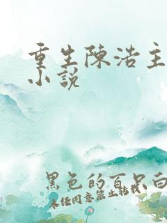 重生陈浩主角的小说