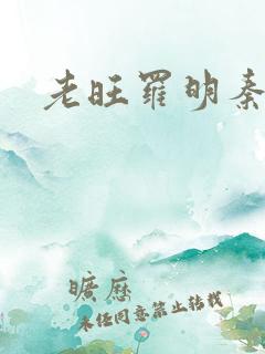 老旺罗明秦雨