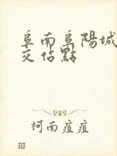 阜南阜阳城际公交站点