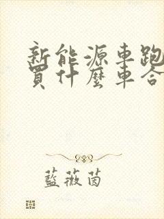 新能源车跑滴滴买什么车合适