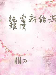 纯电新能源汽车报价