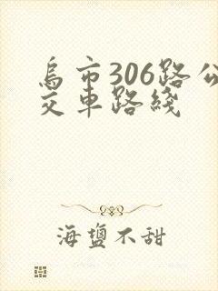乌市306路公交车路线