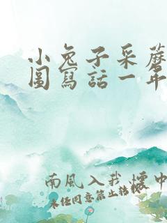 小兔子采蘑菇看图写话一年级下册