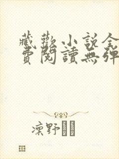 藏欢小说全文免费阅读无弹窗 藏欢小说全文免费阅读无弹窗