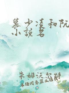 慕少凌和阮白的小说名