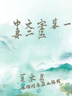 中文字幕一区人妻二区