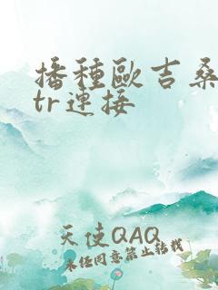 播种欧吉桑和ntr连接
