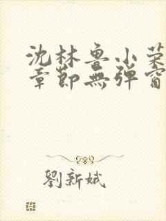 沈林鲁小荣最新章节无弹窗笔趣阁