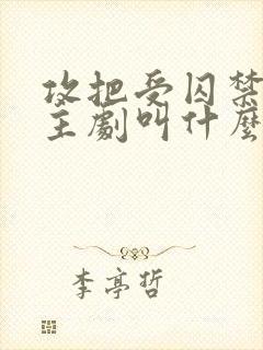 攻把受囚禁双男主剧叫什么名