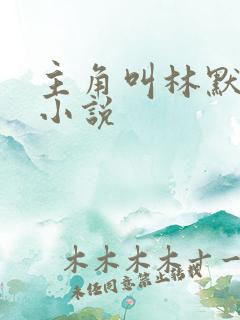 主角叫林默语的小说