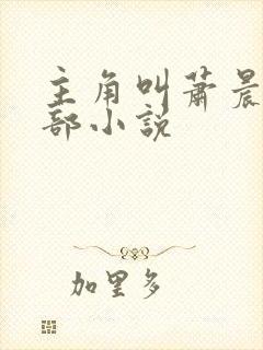 主角叫萧晨的全部小说