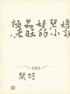 极品好儿媳秦雨,老旺的小说免费阅读全文