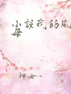 小说我的风骚岳母