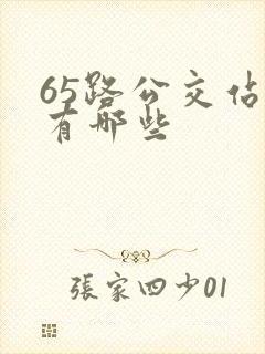 65路公交站点有哪些