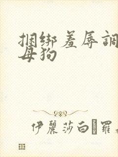 捆绑羞辱调教骚母狗