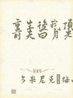 重生后我顶替了前夫白月光原著作者