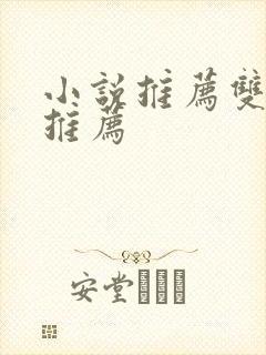 小说推荐双男主推荐