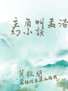 主角叫孟浩的玄幻小说