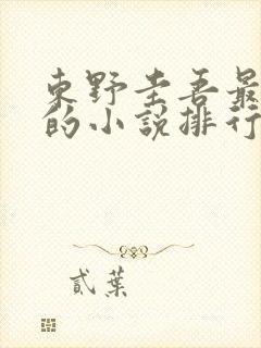 东野圭吾最好看的小说排行
