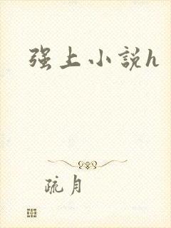 强上小说h