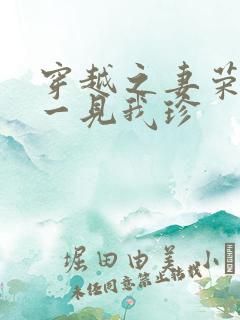 穿越之妻荣夫贵一见我珍