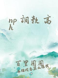 np 调教 高h