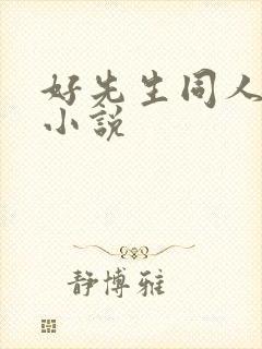 好先生同人改编小说