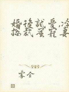 婚后试爱,冷面总裁蜜宠妻