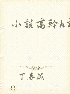 小说高干h调教