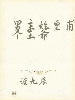 男主姓皇甫且是个王爷