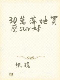 30万落地买什么suv好