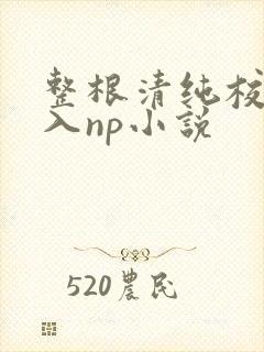 整根清纯校花插入np小说