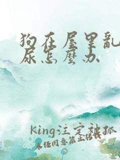 狗在屋里乱拉乱尿怎么办