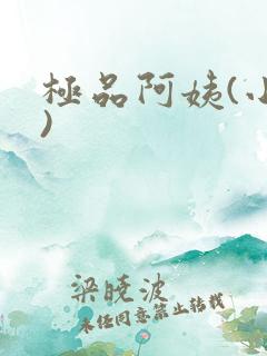 极品阿姨(小说)