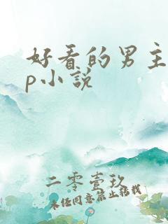 好看的男主无cp小说