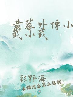 黄蓉外传小之大武小武 黄蓉外传小之大武小武